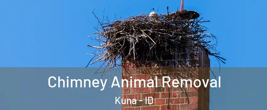  Chimney Animal Removal Kuna - ID