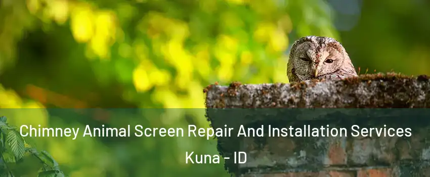  Chimney Animal Screen Repair And Installation Services Kuna - ID