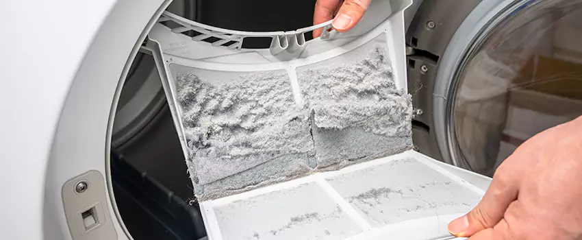 Best Dryer Lint Removal Company in Kuna, Idaho