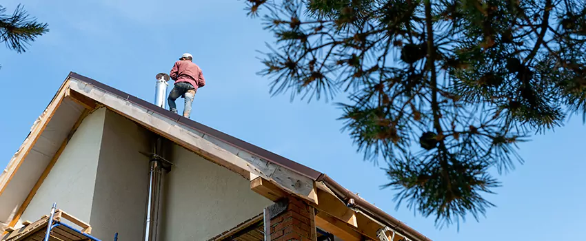 Birds Removal Contractors from Chimney in Kuna, ID