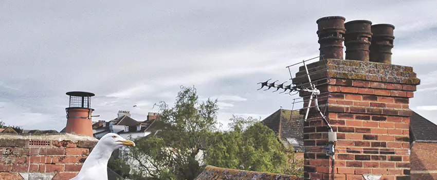 Chimney Cleaning And Restoration in Kuna, Idaho