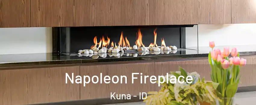  Napoleon Fireplace Kuna - ID